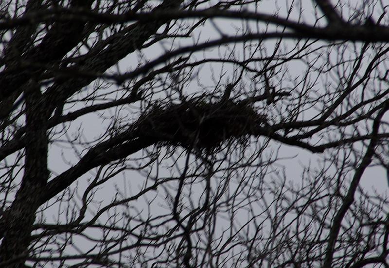 031409 field trip 206.jpg